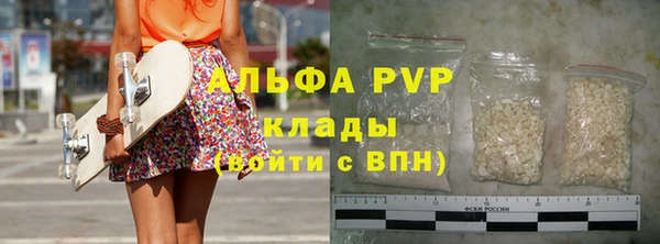 стаф Пересвет