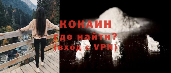 стаф Пересвет