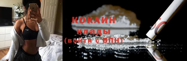 стаф Пересвет