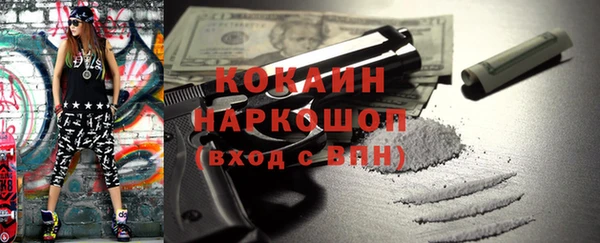 стаф Пересвет