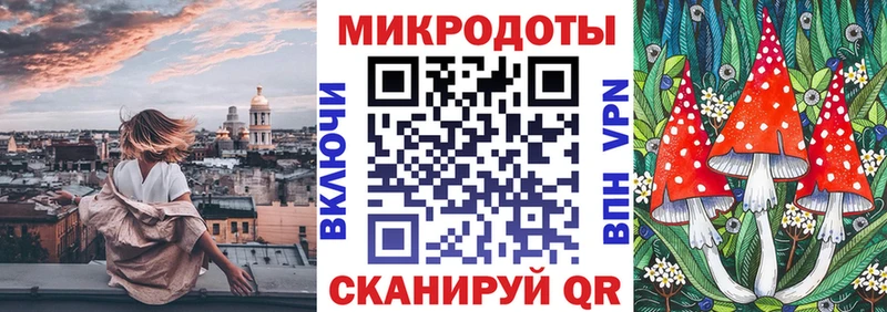 kraken рабочий сайт  купить закладку  Тутаев  Галлюциногенные грибы Psilocybe 