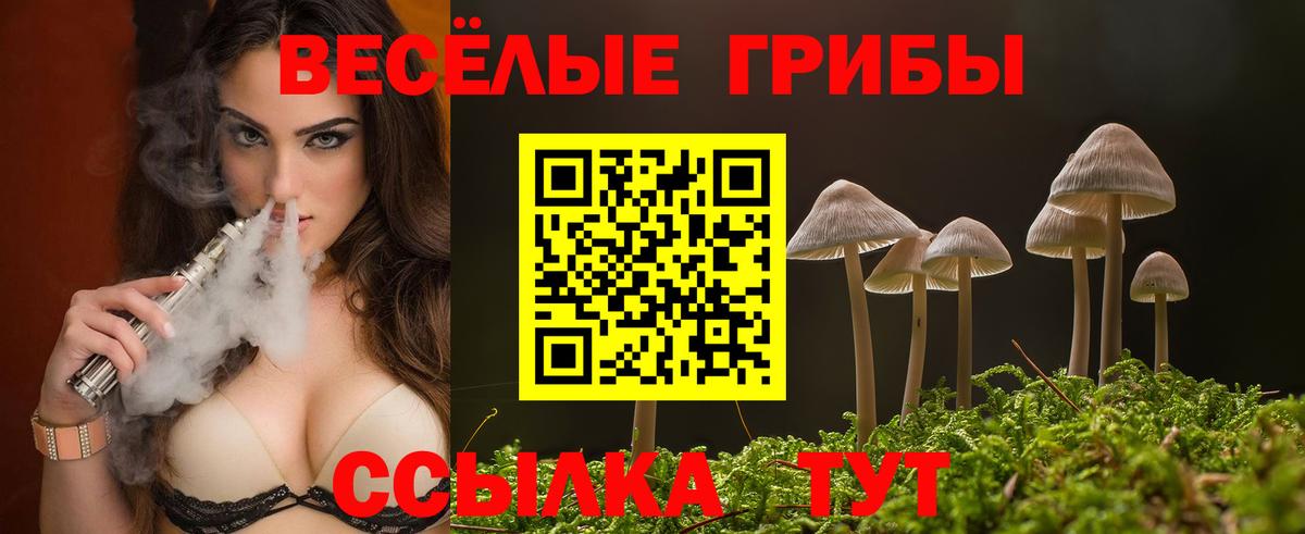 Псилоцибиновые грибы Psilocybine cubensis Тутаев