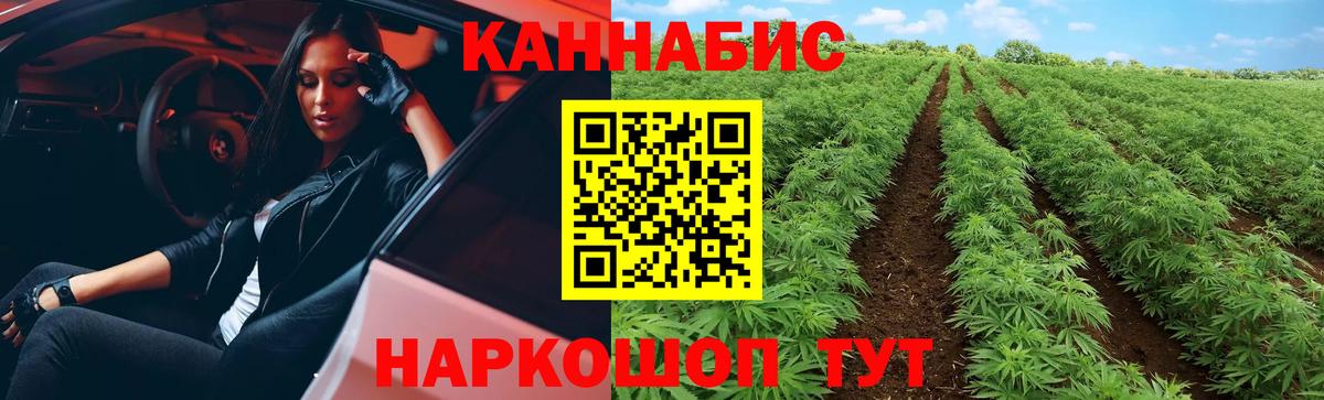 МАРИХУАНА THC 21%  Шишки марихуана план  Бошки Шишки Bruce Banner  Вход с VPN  Тутаев 